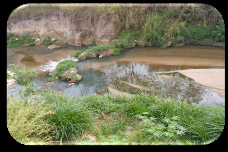 No dia 15 de setembro de 2014, os 6º anos A e B da escola Moppe fizeram um passeio para analisar os rios de São José dos Campos e o lago do Parque da Cidade para ver se estavam poluídos.