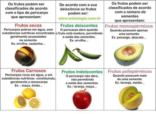 O que se conhece popularmente por frutas não tem significado botânico. Fruta é aquilo que tem sabor agradável, às vezes azedo, às vezes doce.