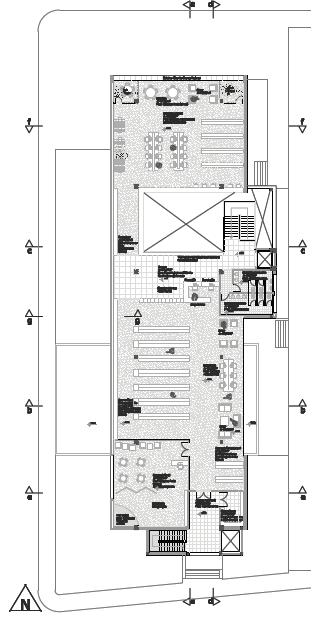 Figura 8: Planta