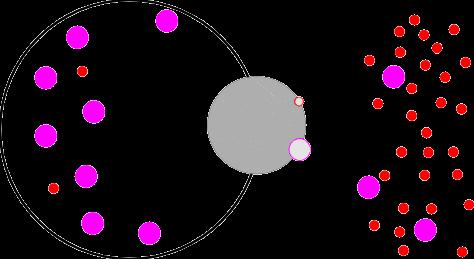 2Na + Glicose Galactose Na + K + 2Cl - SGLT1 2K + GLUT ATP 3Na +