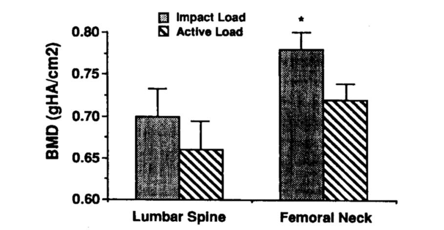 Atividade física moderada como suporte do peso, como corrida e saltos, têm impacto mais positivo sobre a deposição óssea do que atividades que não necessitam do suporte do peso, como a natação