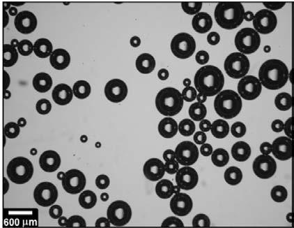 50115012501350 Diâmetro de bolha, µm Figura 4.1. Diâmetro médio de bolha