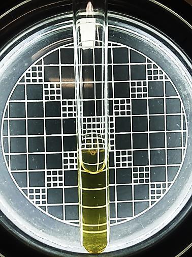 indol (reativo de kovac s). Crescimento de Escherichia coli.