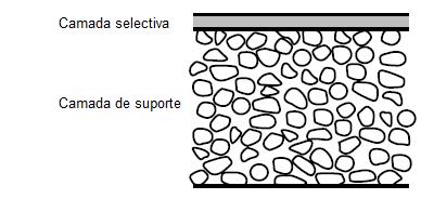 Figura 4: Esquema da estrutura de uma membrana assimétrica composta A camada selectiva é responsável pelo fluxo de transporte de massa que é determinado pela espessura da pele.