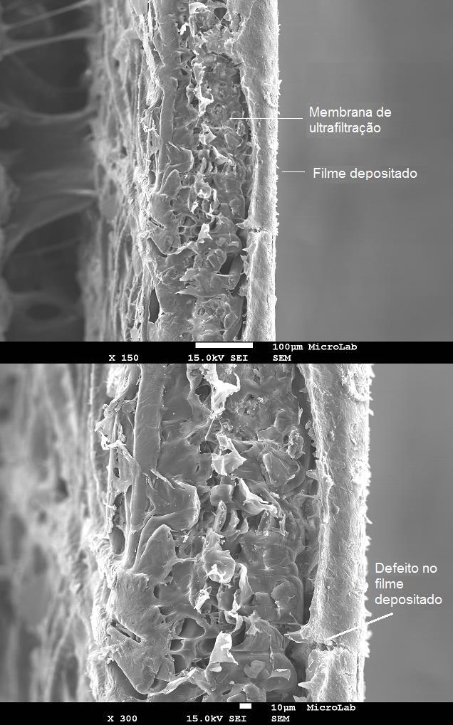 Na Figura 35 pode-se observar a secção transversal de uma membrana de ultrafiltração com filme depositado (Alfa Laval - modelo ETNA10PP).