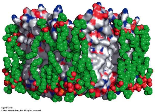 Proteínas de membranas Interação com lipídeos