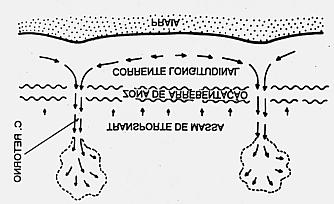 Figura 3.3. Célula de circulação costeira (MUEHE, 1994).