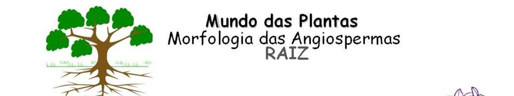 Fonte: http://www.ufscar.br/~probio/m_eichhornia.jpg Acesso em: 25 de agosto de 2015 Raiz: Diversidades: 6.