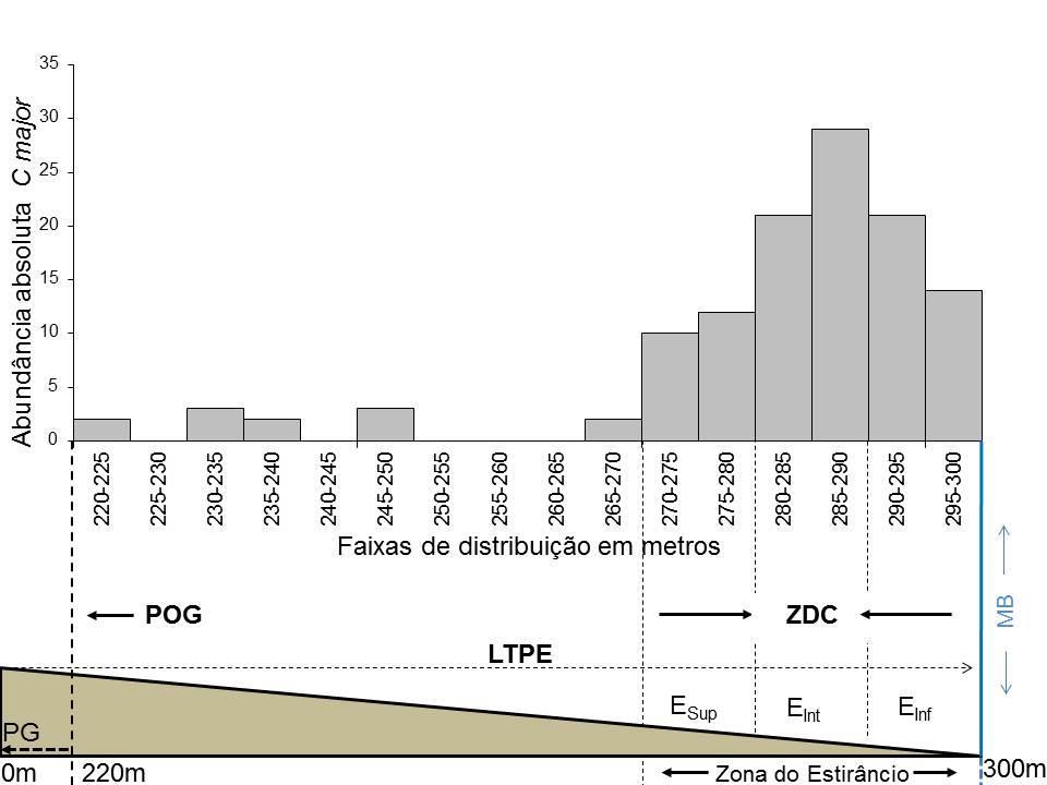 Figura 2. Representação da abundância absoluta e coleta de C. major no perfil de transecção perpendicular (LTPE), desde o ponto geodésico (PG) até o a linha d água (MB).