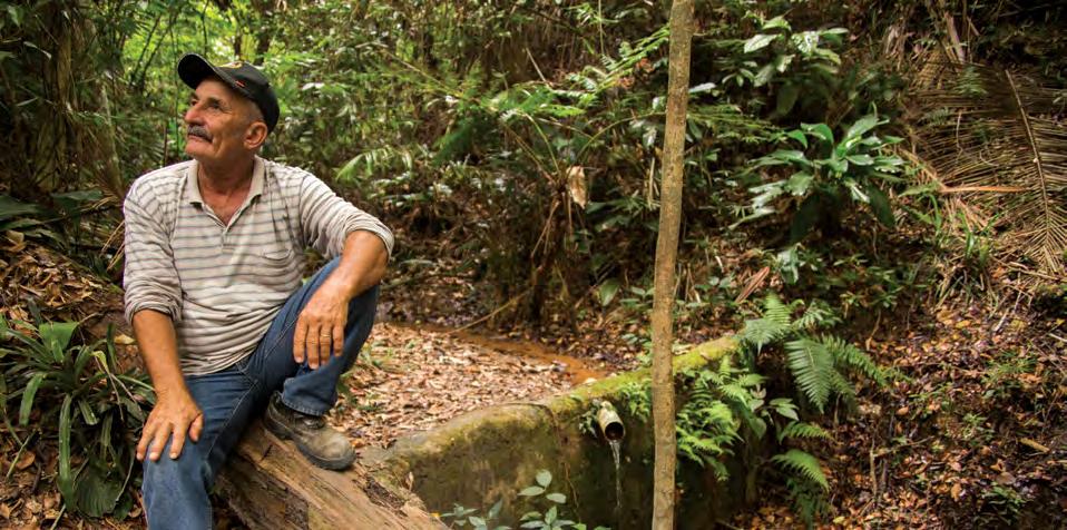 de sustentabilidade 2016 Seu Chico da Mata (Francisco Origi Rossini) vem restaurando áreas de florestas ao redor de nascentes há mais de 30 anos.