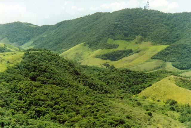 Na AID, podem ser encontrados usos agropecuários, áreas de florestas e ocupações urbanas com