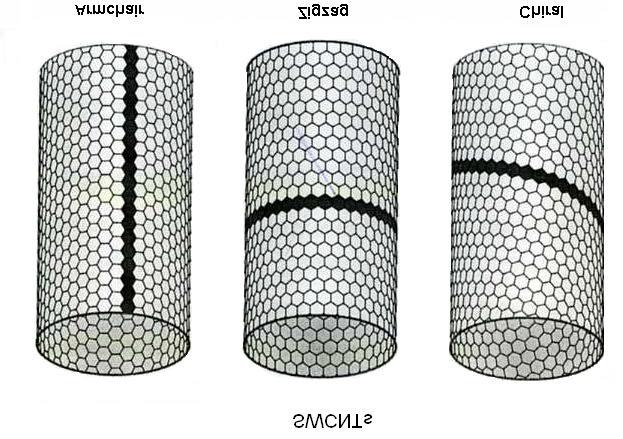 Capítulo 1. Introdução 19 Os diâmetros dos nanotubos de parede simples estão na ordem de quatro a dez nanômetros, mas já foram reportados nanotubos com 2.5nm de diâmetro (7).