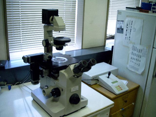 a b c Figura 9. Obtenção da sonda específica de cromossomos supranumerários de Prochilodus lineatus por microdissecção cromossômica.