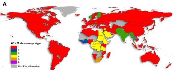 "Global, regional, and national age-sex specific all-cause and cause-specific mortality for 240 causes of death, 1990-2013: a