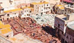 Chega-se ao bairro da Desembocadura, começando com um passeio a pé pelo centro histórico, onde se encontra a catedral. SANTIAGO DE COMOSTELA asseio a pé pelo centro antigo e visita à catedral.