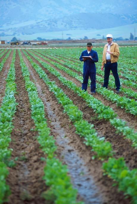 Bauer USDA; CIMMYT;