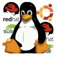 Linux Muito uklizado em servidores Você não sabe, mas provavelmente usa Linux todo dia UlKmamente anda ganhando espaço para computador pessoal Diversas interfaces