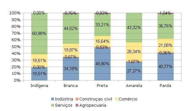 2.5 Postos de trabalho femininos por setores de inserção A Figura 13 mostra os postos de trabalho ocupados por mulheres de cada raça por setor econômico que ocupam.
