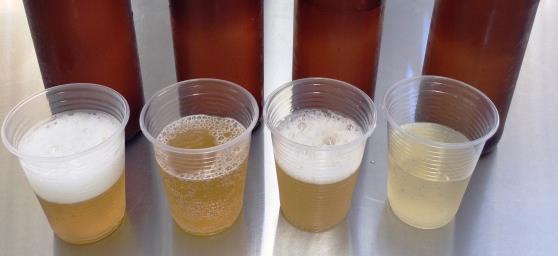 3 Resultdos e discussão N Tbel 2 são presentdos os resultdos ds nálises de densidde inicil, densidde finl e teor lcoólico ds diferentes formulções de bebids fermentds pós 1 dis de fermentção.