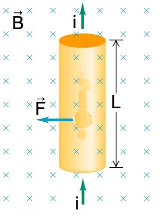 (19) 351-101 DICAS PAA O VESTIBUA DO IME 015 Orintno os três ixos crtsinos (x, y z) como n figur, com o cmpo mgnético prllo o ixo x, prtícul xcut um movimnto rtilíno uniform n irção o ixo x, mntno