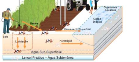 possíveis para os agrotóxicos no