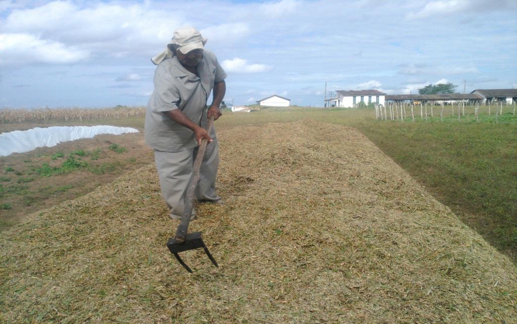 Enchimento de silo de superfície de