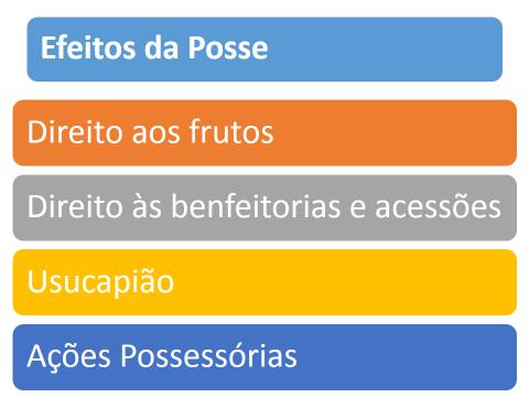 TEMA 9: POSSE EMENTÁRIO DE TEMAS: Posse: efeitos da posse; direito aos frutos LEITURA OBRIGATÓRIA CHAVES, Cristiano. Direitos Reais. Cristiano Chaves e Nelson Rosenvald. 6ª ed.