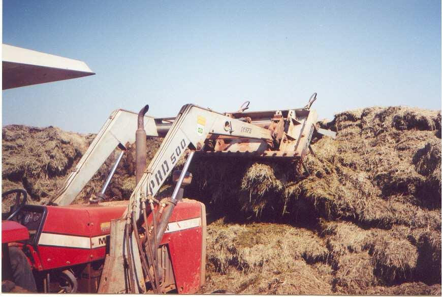 Processo de ensilagem FATORES INERENTES A PLANTA Umidade (teor de MS) Carboidratos solúveis Capacidade tampão 1.