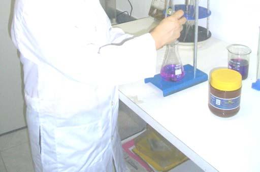 Beatriz iniciou seus estudos no Laboratórios de Abelhas da USP-SP 1989: Dra.