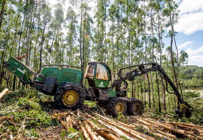 Figura 8: Harverster realizando a colheita e traçamento COLHEITA / TRANSPORTE O suprimento de 100% da madeira de eucalipto é realizado com o sistema de corte raso da floresta em rotações médias de 7