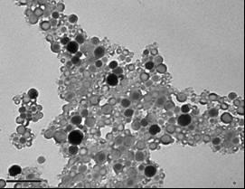 das nanocápsulas de PMMA com óleo de andiroba.