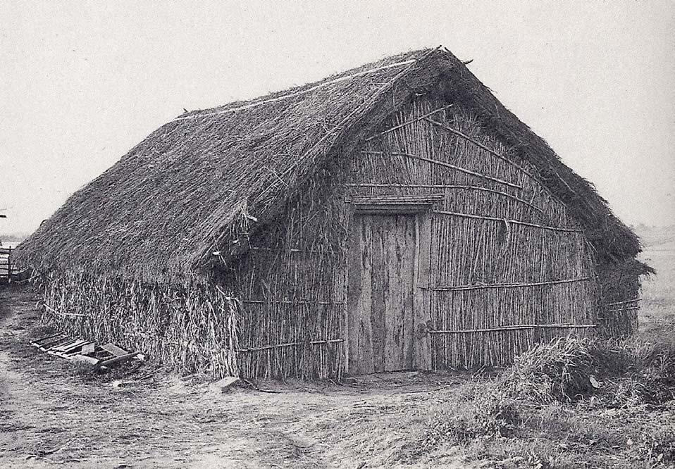 HABITAÇÃO PRIMITIVA IV CONSTRUÇÕES DE PLANTA