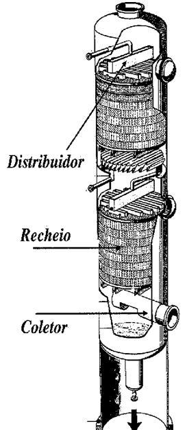 TORRES RECHEADAS Os recheios mais comumente usados podem ser classificados em dois tipos: Randômicos elementos distribuídos aleatoriamente na torre conforme descarregado; http://www.sulzer.