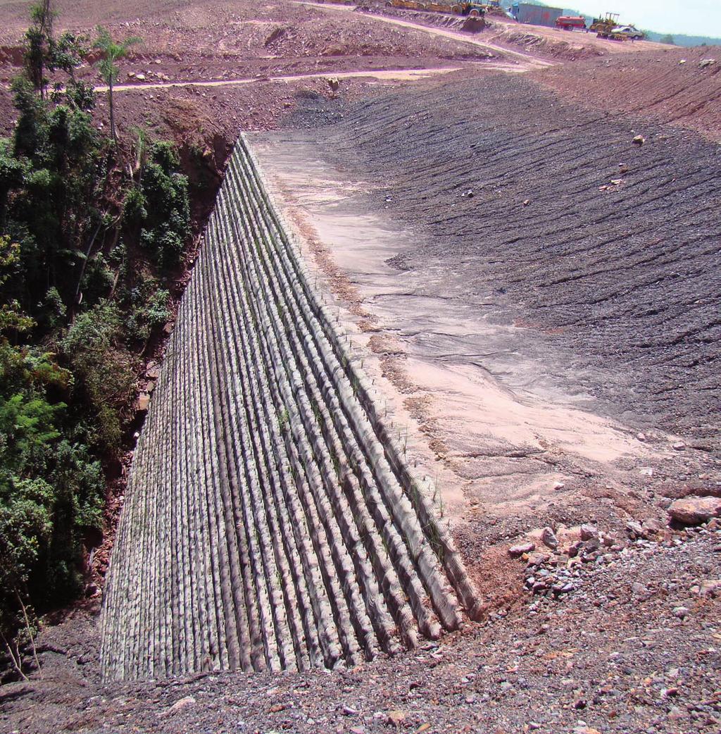 pela densa raiz, de até 2,3 m no primeiro ano, contribui para dificultar a desagregação da massa de solo sob os fluxos de água a alta velocidade.