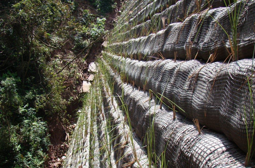 CONCLUSÕES O trabalho apresenta a aplicação da técnica de solo reforçado com geogrelhas e face verde envelopada em um muro encaixado em um vale com altura máxima de 27,6 m onde, além da garantia da