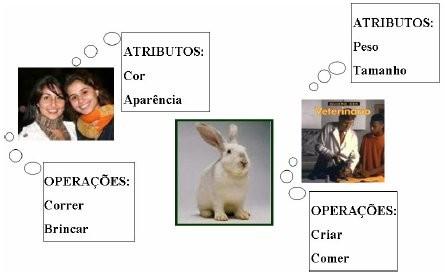 Abstração Exemplo: Um coelho para sua dona tem os atributos cor e aparência e sob o