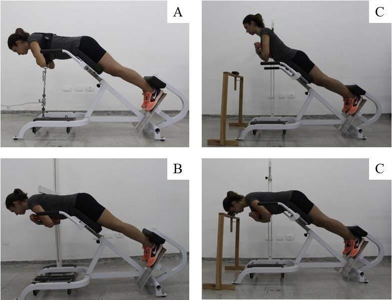 52 Figure 2. (A) Maximal voluntary isometric contraction during back strength assessment.