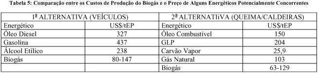 Biogás Agrupa várias opções como queima de madeira, carvão vegetal e o processamento industrial de celulose e bagaço de cana-de-açúcar. Inclui o uso de álcool como combustível.