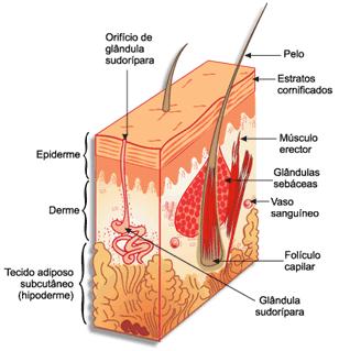 ao mundo, não para condenar o mundo,