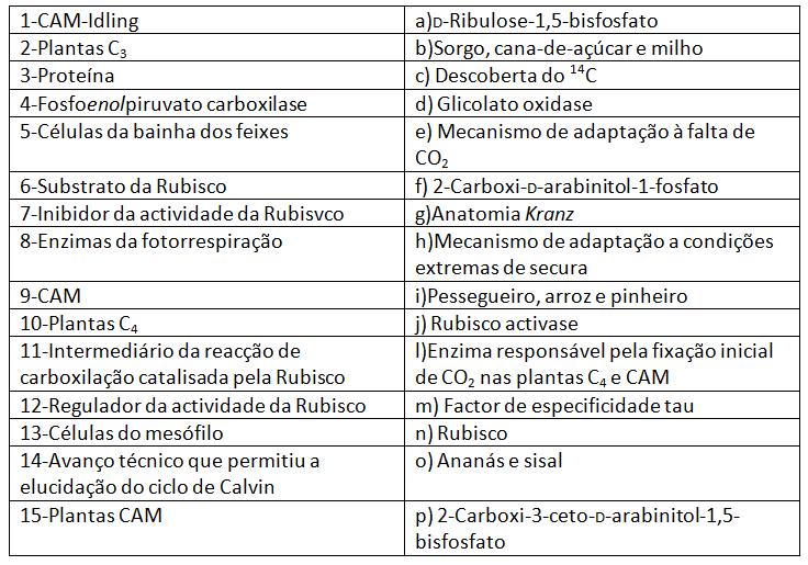 18 - Relacione cada número da coluna da esquerda com uma ou mais alíneas da coluna da direita: 19 - Relativamente às diferentes adaptações do metabolismo fotossintético nas plantas, responda às