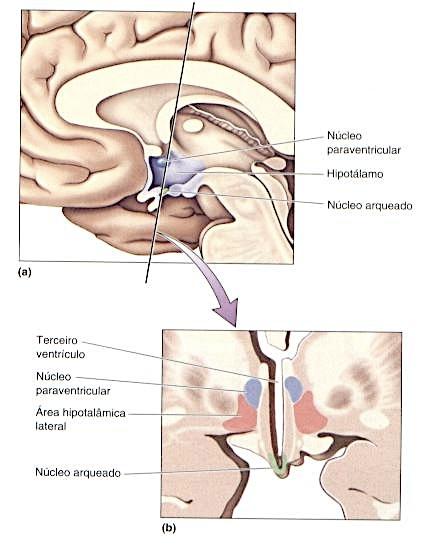 Figura 9.