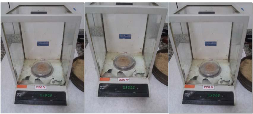41 Figura 25. Pesagem das amostras. 4.1.1.1 Teor de umidade Na determinação do teor de umidade foi utilizada uma estufa de secagem,