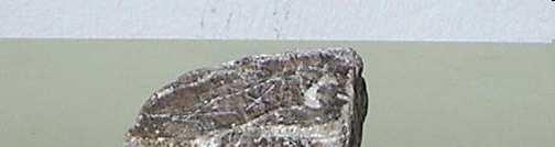 Noções de Sedimentalogia Rochas Sedimentares Quimiogénicas Surgem da