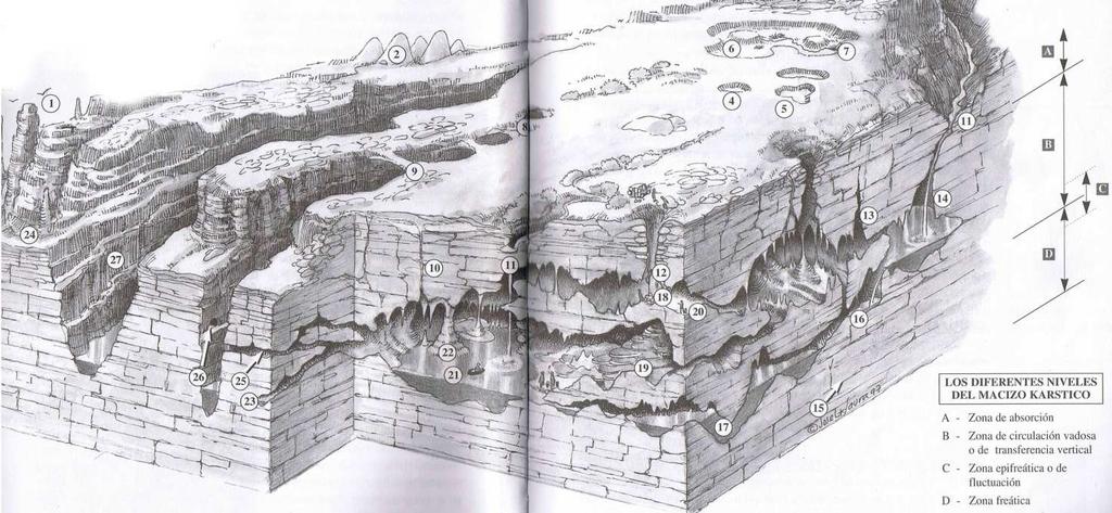 Espeleogénese e Evolução Os maciços cársicos permitem o armazenamento e transporte de água, comportando-se como um