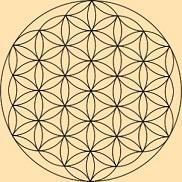 que contém no seu núcleo um círculo com seis pétalas, que se expande criando um conjunto de círculos conectados e em perfeito equilíbrio.