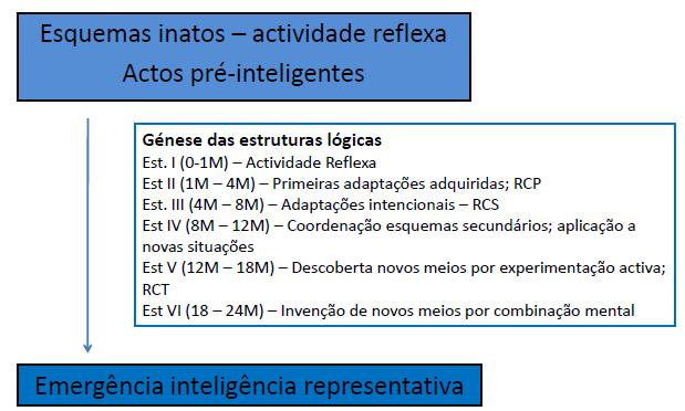 Estádio Idade Conceito Explicação I e II Nenhum comportamento Quando desaparece, aniquilam em vez de especial face ao objecto. mudarem de posição e continuarem a Não há permanência do existir.