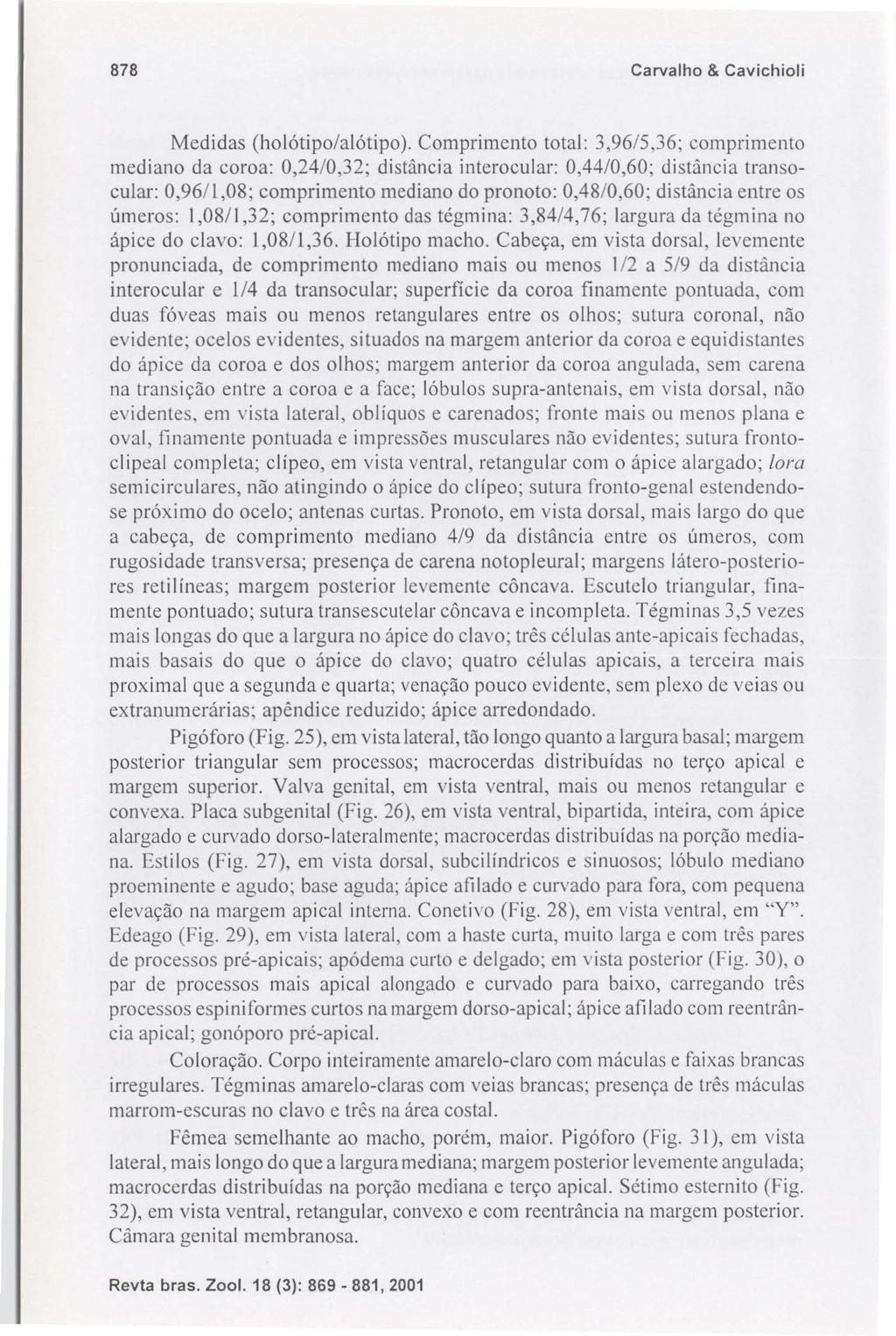 878 Carvalho & Cavichioli Medidas (holótipo/alótipo).