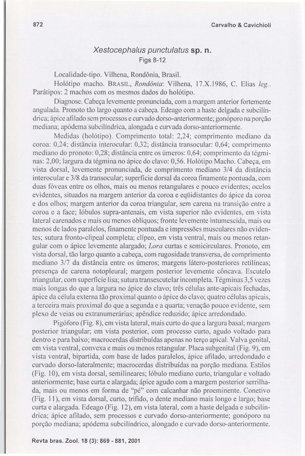 872 Carvalho & Cavichioli Xestocephalus punctulatus sp. n. Figs 8-12 Localidade-tipo. Vilhena, Rondônia, Brasil. Holótipo macho. BRASIL, Rondônia: Vilhena, 17.X.1986, C. Elias leg.
