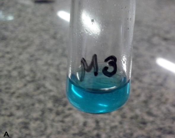 tonalidade azul, indicando que há grande quantidade de cobre na solução.
