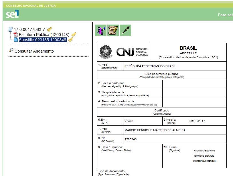 16) Após, o usuário deverá conferir e assinar com Certificação Digital. OBS.